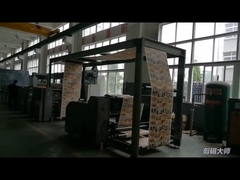 High Efficient Petal Type Paper Roll To Roll Sticker Flexographic Printing Machine