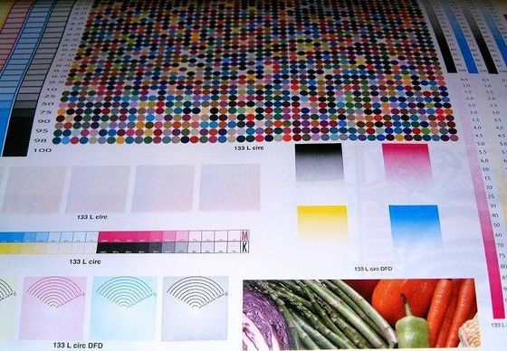 Good price 4 Color Corrugated Cardboard Flexo Printing Machine For Carton Box online