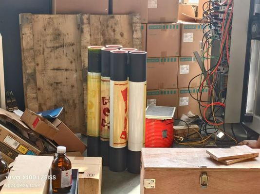 Good price Auto Flexographic Printer, Front Side 9 Colors Back Side 1 Colors Flexo Label Flexographic Printer Printing Press online