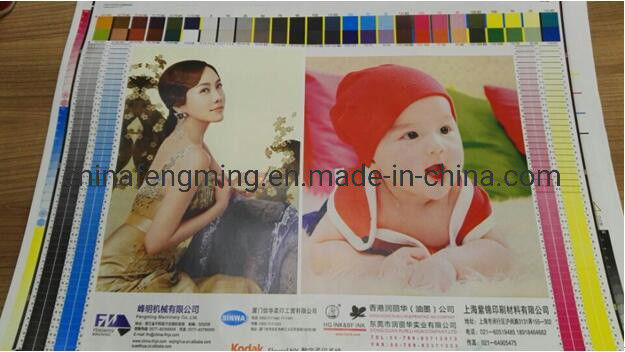 Paper Material Flexo Printing Machine with Advanced UV IR Dryer and Hot Air Drying