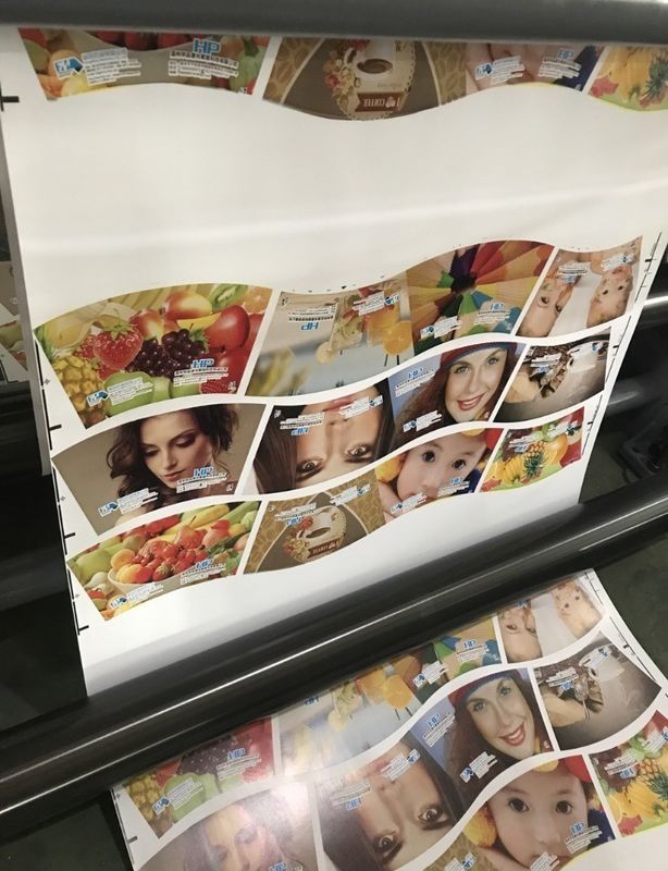 Multi-Color Auto Registration PE Cups Flexo Printing Machine with Customized Request