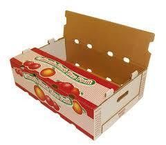 Roll to Roll Flexographic Printing Machine with 100mm Web Roller Diameter and 4 Colors