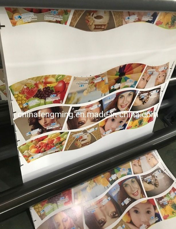 Max. Web Width 920/1020/1220mm FM-B 920-1850 Flexographic Printing Machine for Paper Cup