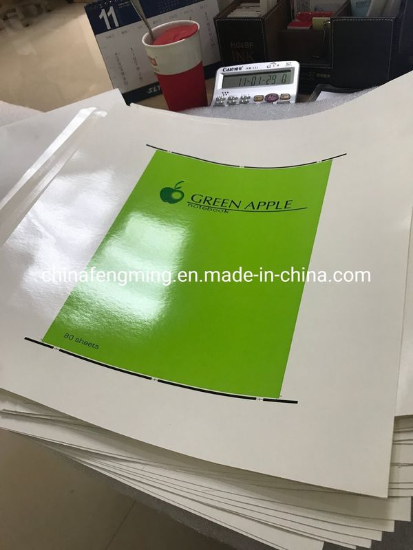Unit Type Structure Color BOPP Water Based Varnishing Flexo Machine for Customization