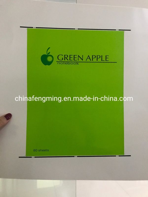 Unit Type Structure Color BOPP Water Based Varnishing Flexo Machine for Customization