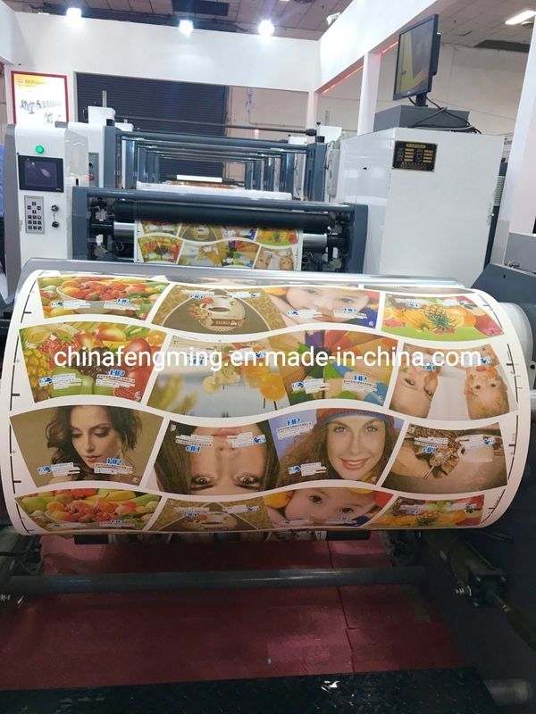 Speed 150m/mim Printing Speed Flexographic Printing Machine with Unit Type Structure