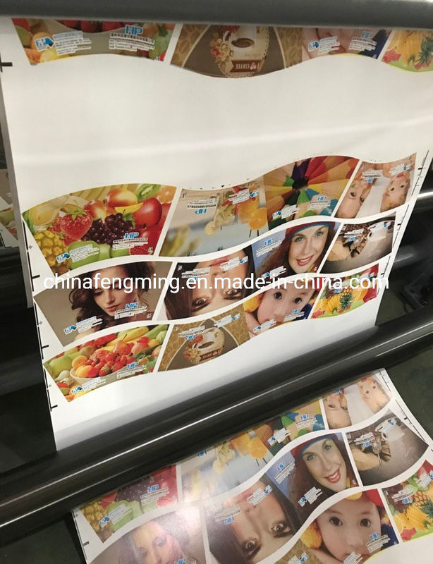Speed 150m/mim Printing Speed Flexographic Printing Machine with Unit Type Structure