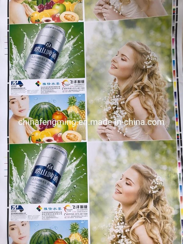 200m/min Printing Speed Flexo Printing Machine for 8 Colors Made in Fengming Machinery