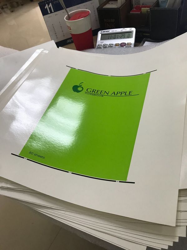 Paper Color Printing Machine with Customization Option Paper Cup Paper Bag Lunch Box