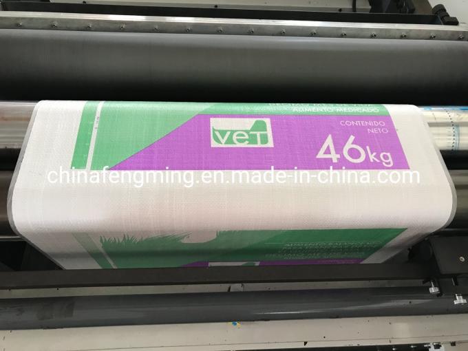 Unit Type 4/5/6/7/8 Color Flexography CE Approved Flexible Packaging Printing Machine 6