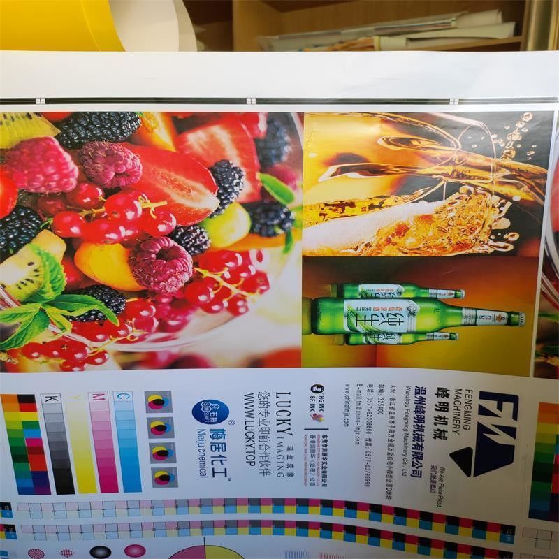 Customized Request High Speed 6 Color Unit Type Flexo Printing Machine for Paper Roll