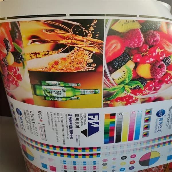 FM-CS1020-1350 Flexographic Printing Machine with Memory Function for Register Position
