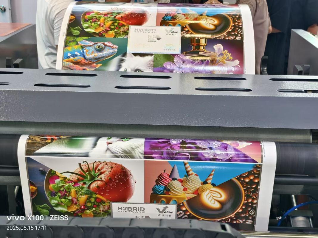 Automatic High Speed 6 Color Uv Flexo Printing Machine Petal Unit Type Flexographic Printing Machine