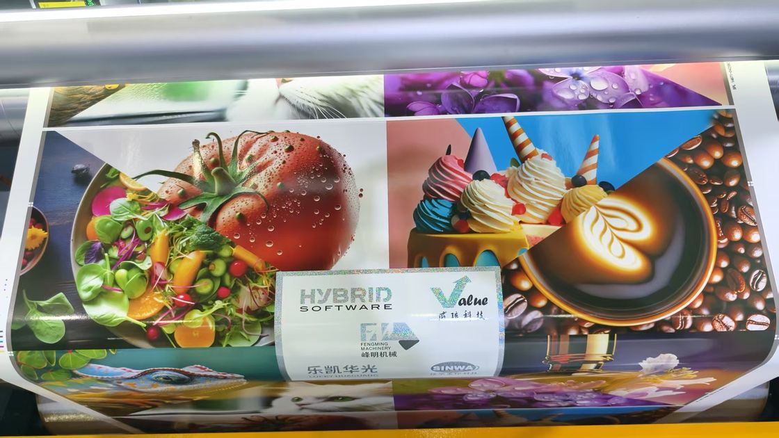 Automatic High Quality Roll to Roll Petal Type Full Servo Model Flexo in Line Printing Machine