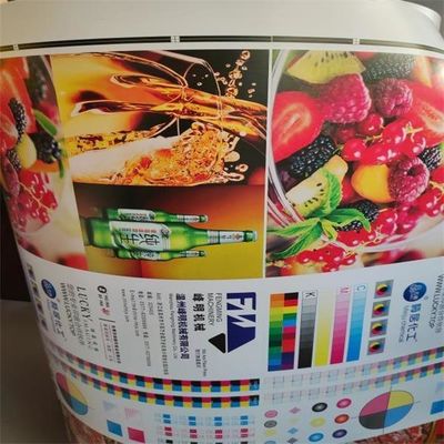 Unit Type Flexo Printing Machine for Laminated Paper and Multilayer Composite Paper