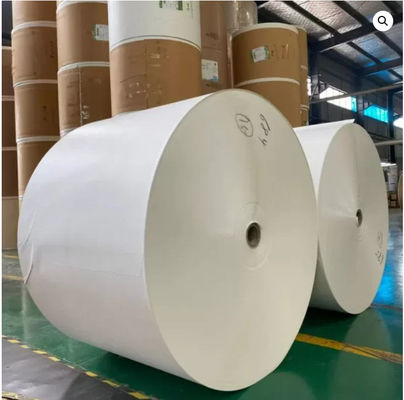 Good price FM-TP1450 nature gas Plastic free Coating Machine for cup paper online
